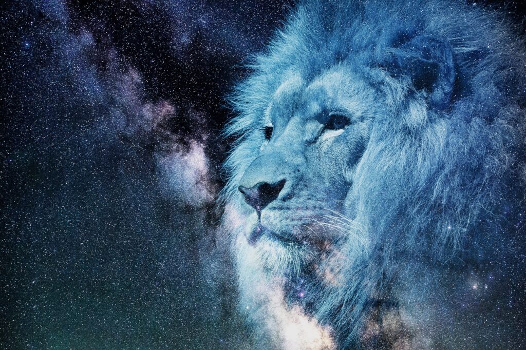 lion, starry sky, night, strength, the empath and the lion, wisdom